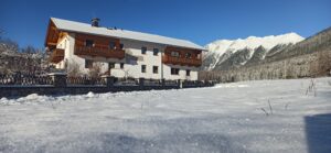 IMG_20221218_100452_1 (1)