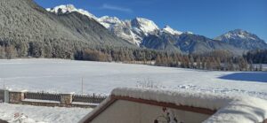 IMG_20221218_100837 (1)