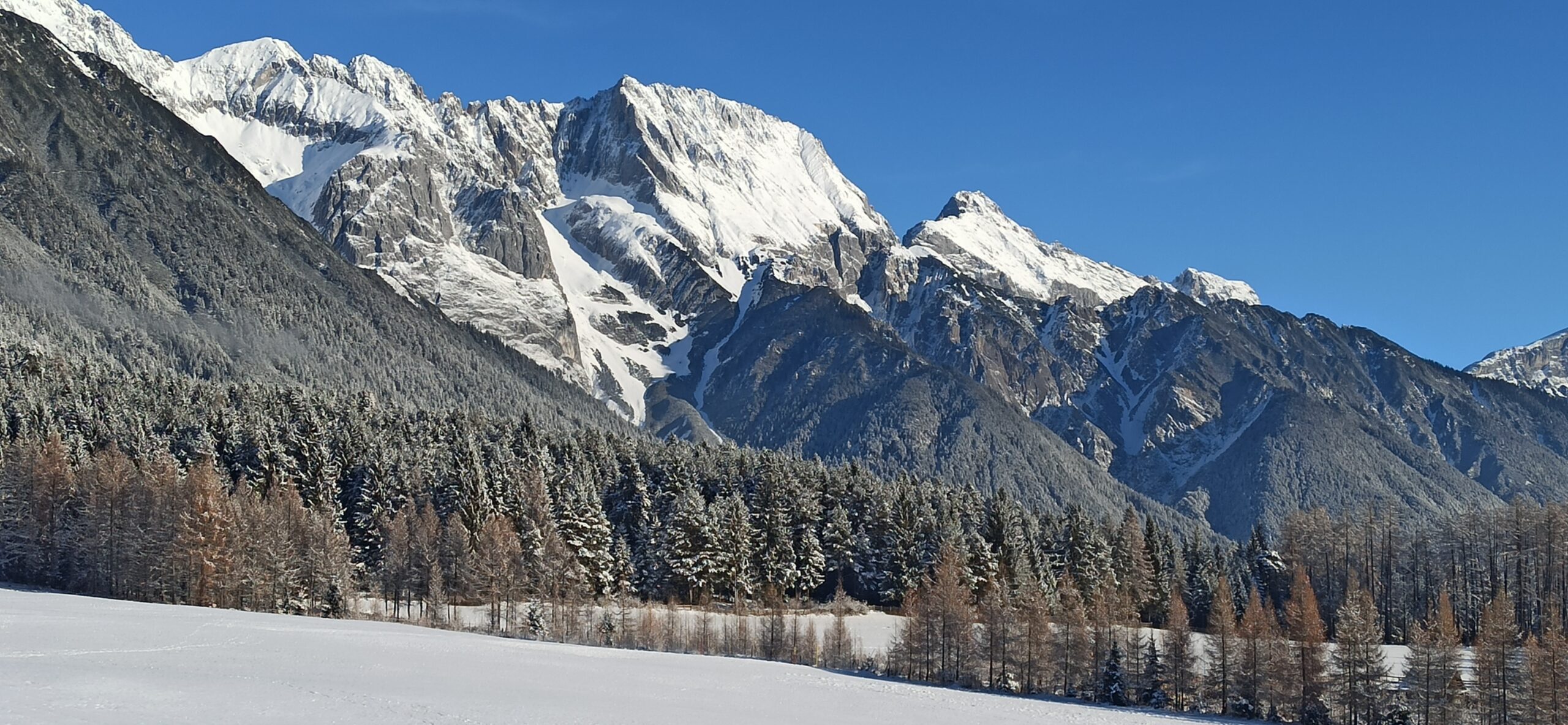 IMG_20221218_101119 (1)