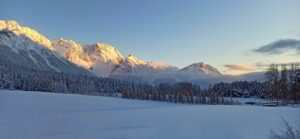 IMG_20231203_080232-01