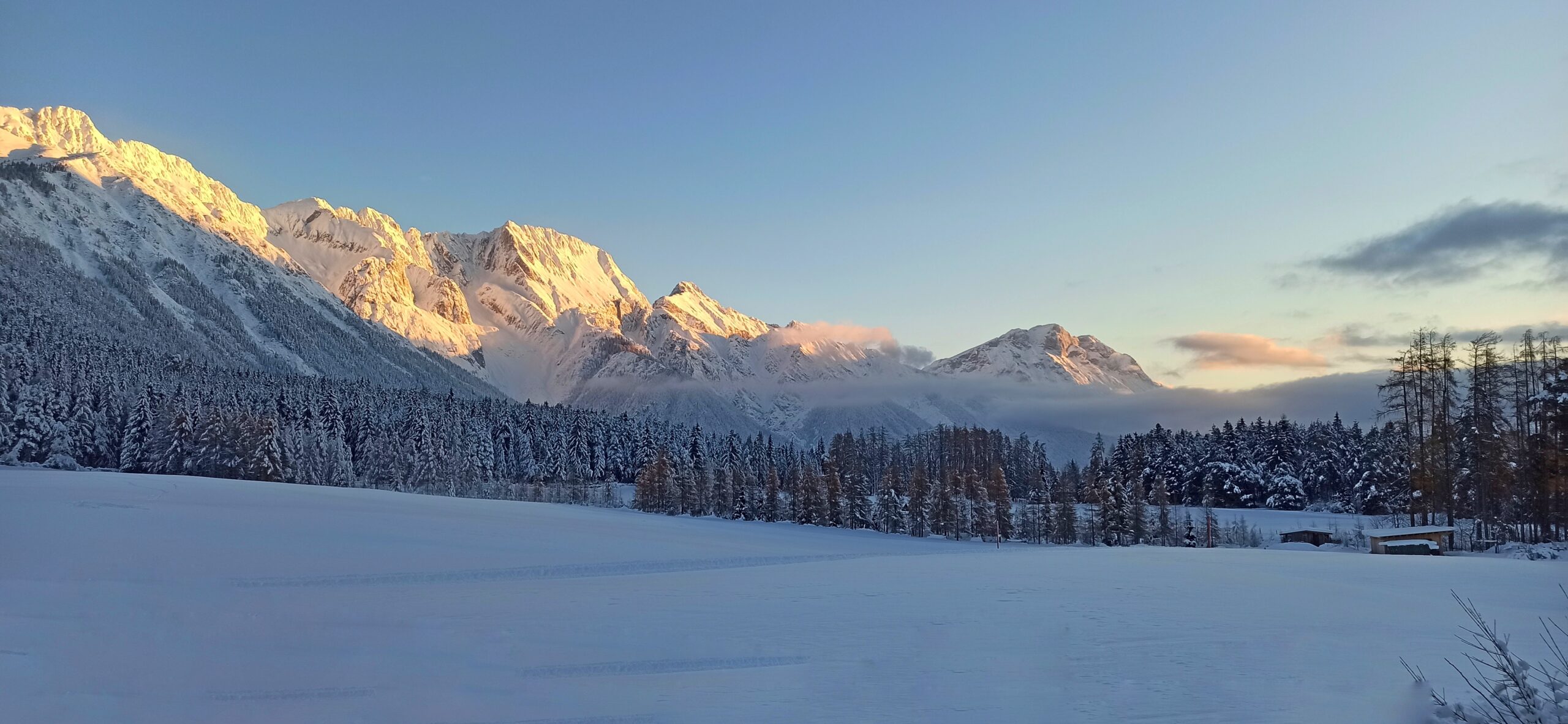 IMG_20231203_080232-01